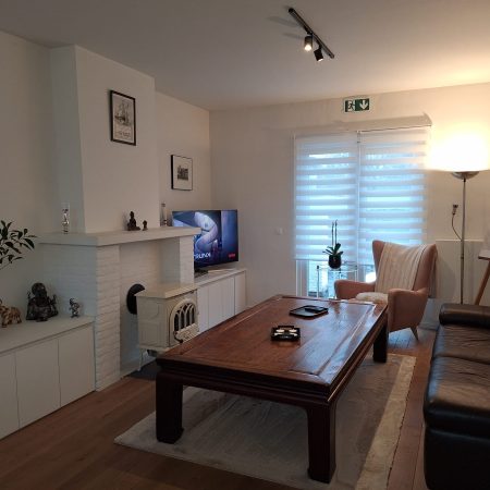 salonkamer - zetel - salontafel - tv - stoof - kast met plant