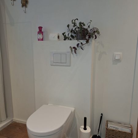 toilet - plantje